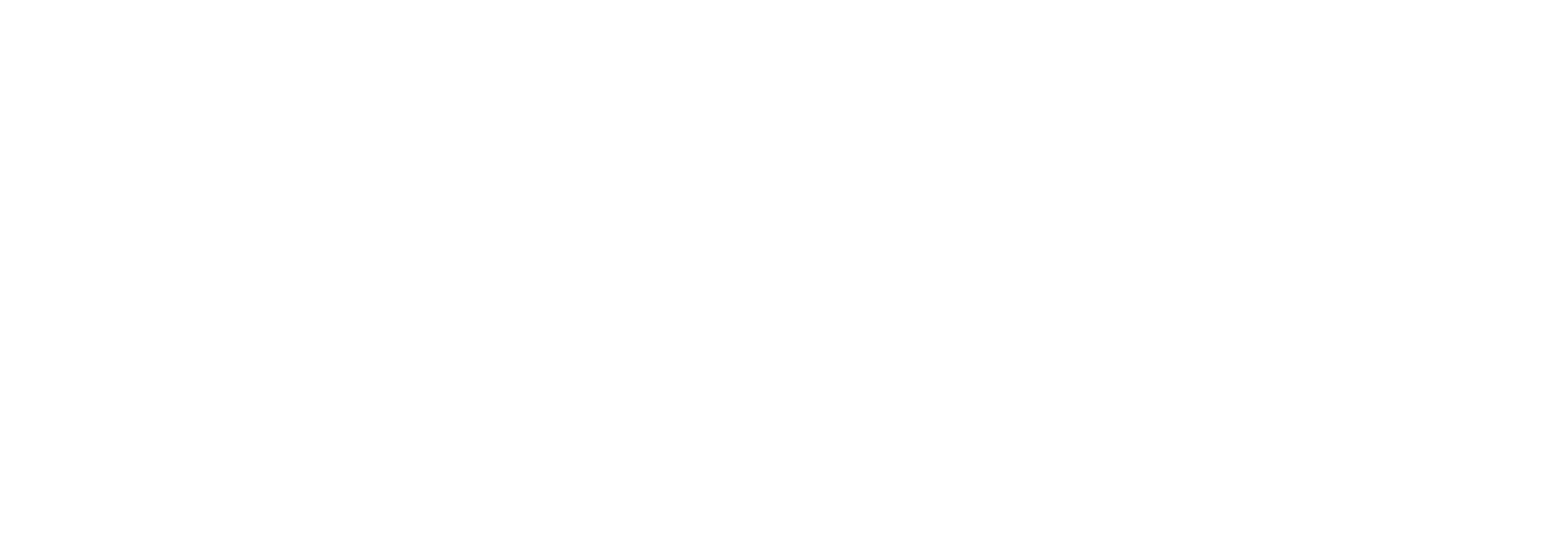 The Transtec Group